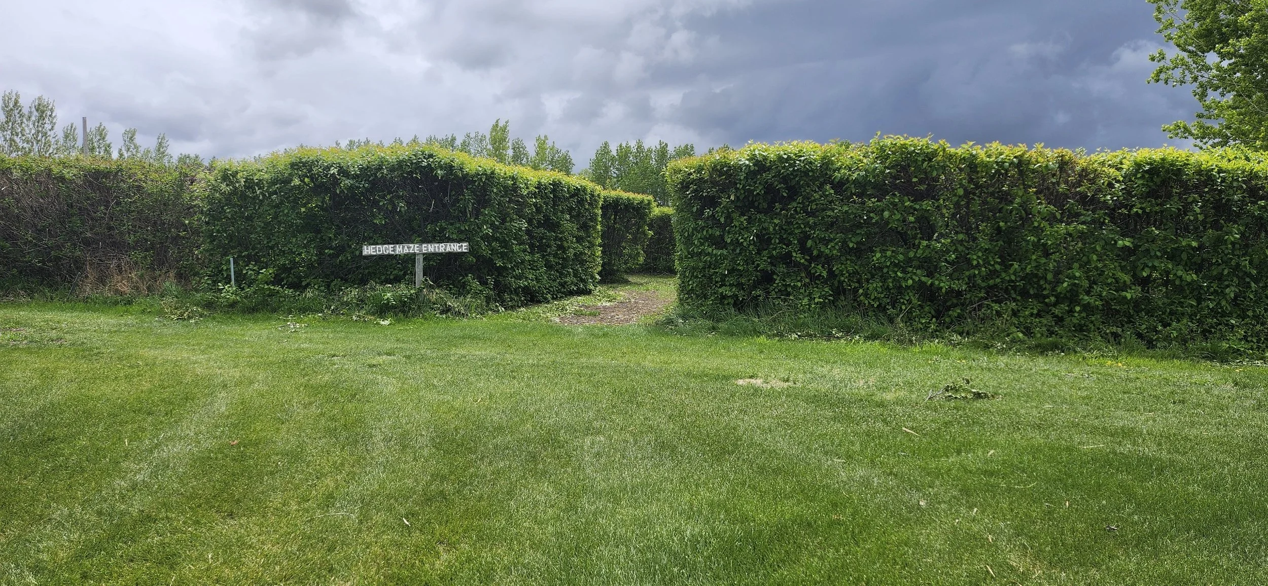 Entrance to a hedge maze with a sign that reads 'Hedge Maze Entrance', surrounded by neatly trimmed tall hedges, a grassy area in the foreground, and dark cloudy sky overhead.