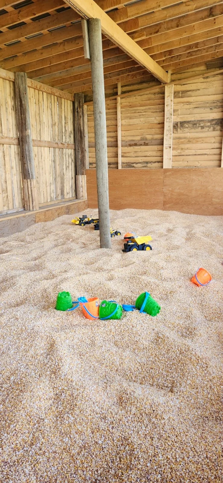 Indoor sand play area with plastic toy dump trucks, buckets, and shovels, surrounded by wooden walls and ceiling.