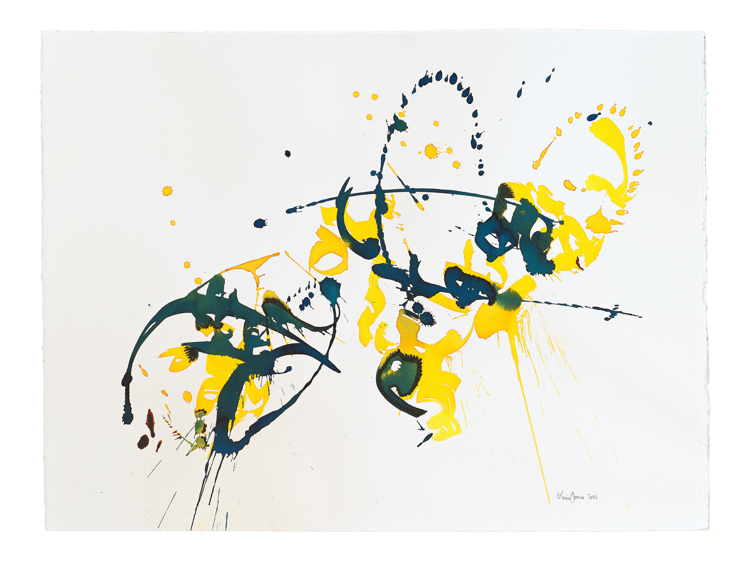 live free, 2025 | dye and oil pastel on paper | 30 x 20 inches