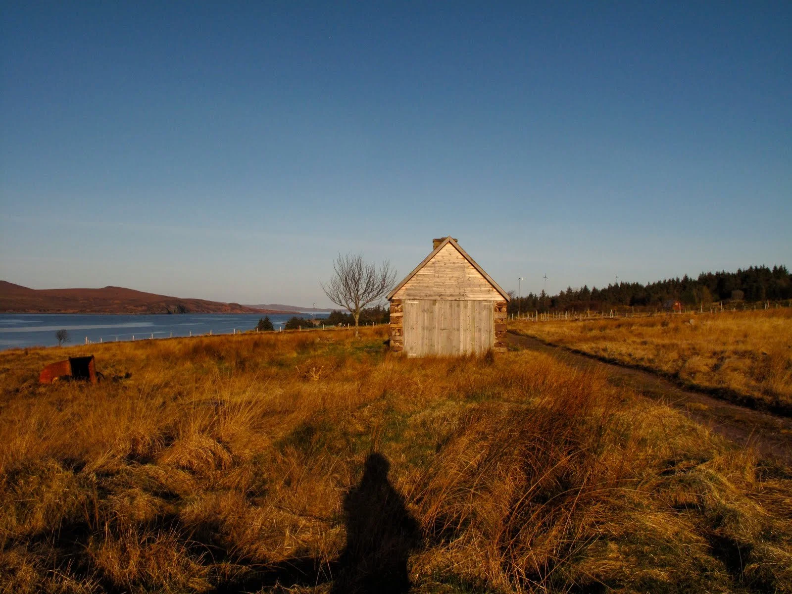A small wooden shed in a rural field with golden grass, a single tree, a body of water, and hills in the background under a clear blue sky.