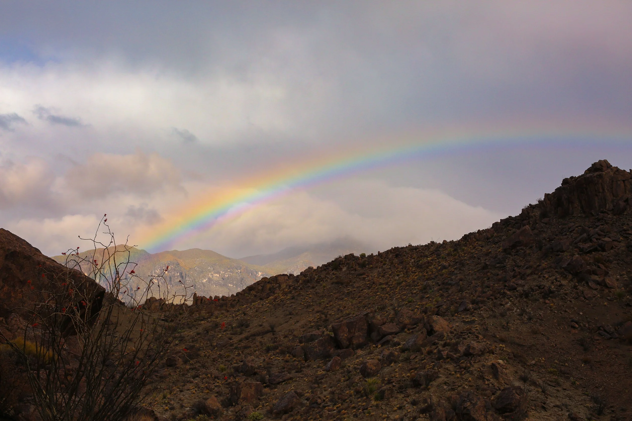 A landscape photo of mountains in the Big Bend region of Far West Texas with a rainbow stretched across the sky above, symbolizing hope