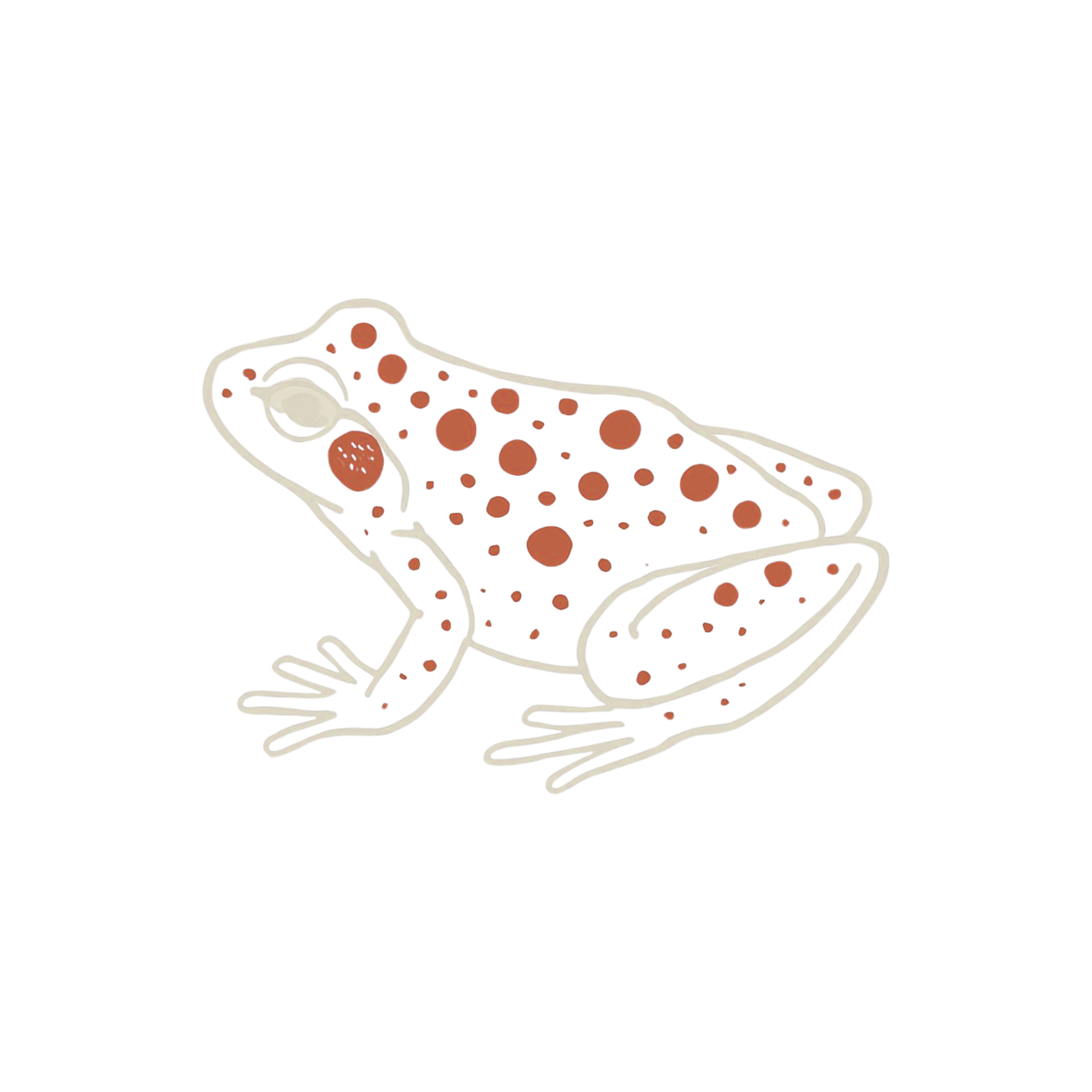Graphic of a red-spotted toad, common to Big Bend and Far West Texas; known for its ability to thrive in intensive, arid environments. Toads are symbols of transformation, the unconscious, rebirth, protection, and hidden knowledge