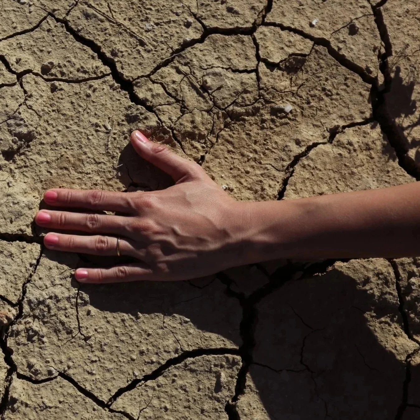 A human hand on cracked, dry earth, symbolizing hardship and resilience
