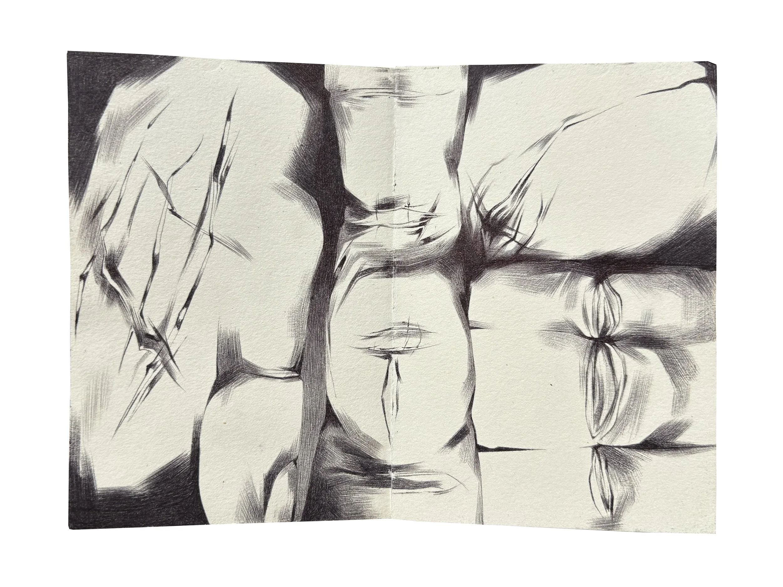 an experimental drawing in biro | the knuckles, creases and folds of my fingers.
