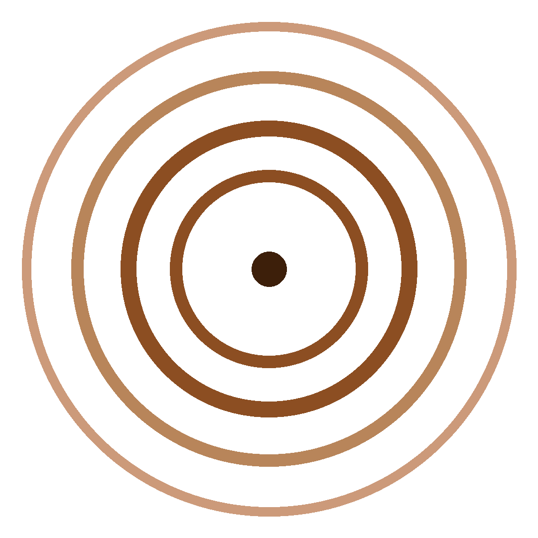 The Outernet Foundation