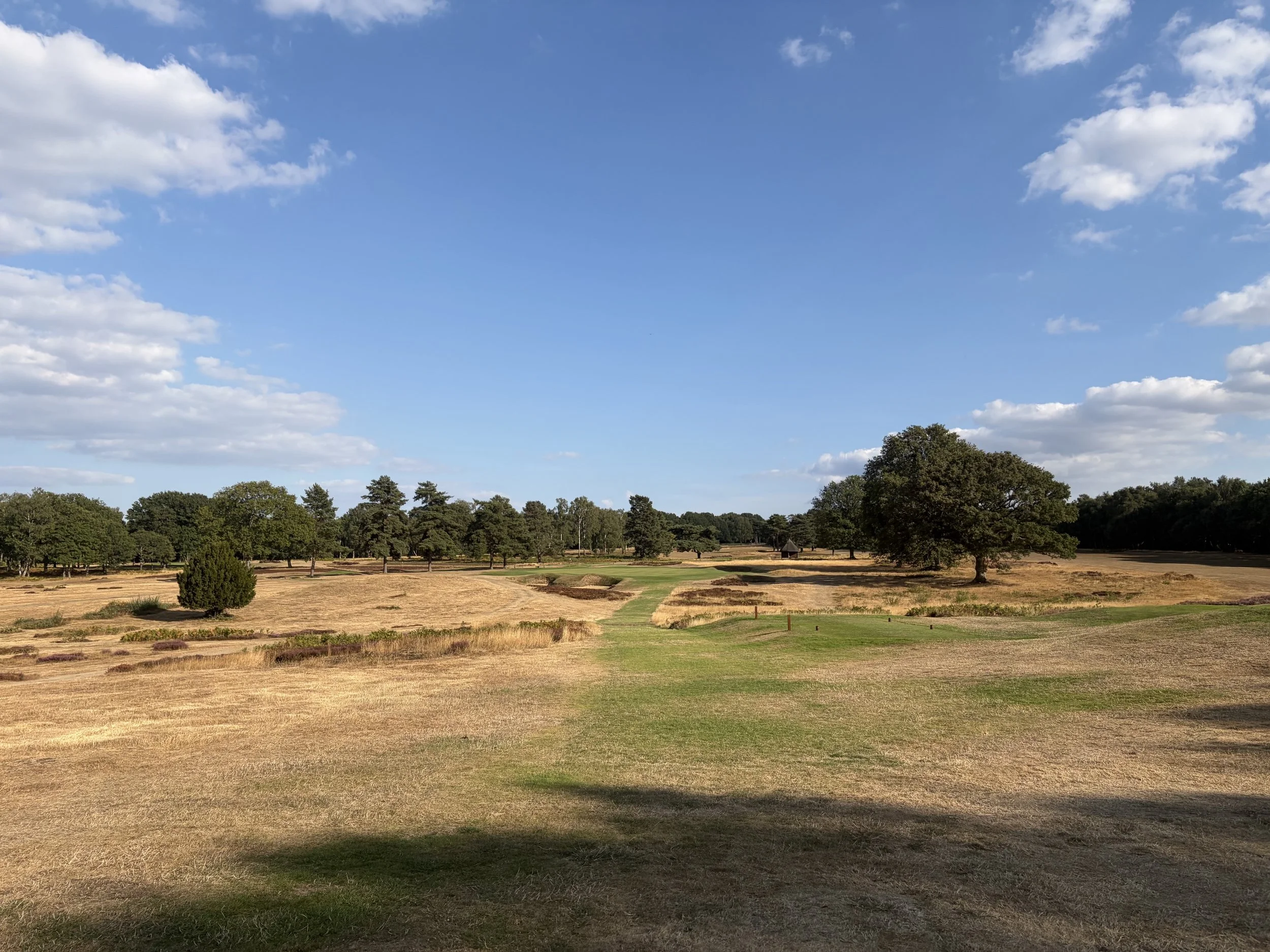 A scenic landscape of a golf course with green grass, trees, and a clear blue sky filled with white clouds.