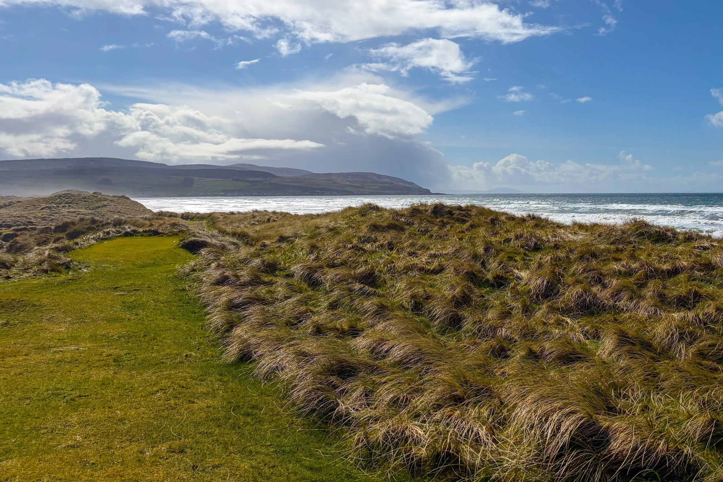 Coastal landscape with grassy dunes, waves, and a cloudy sky over distant hills.