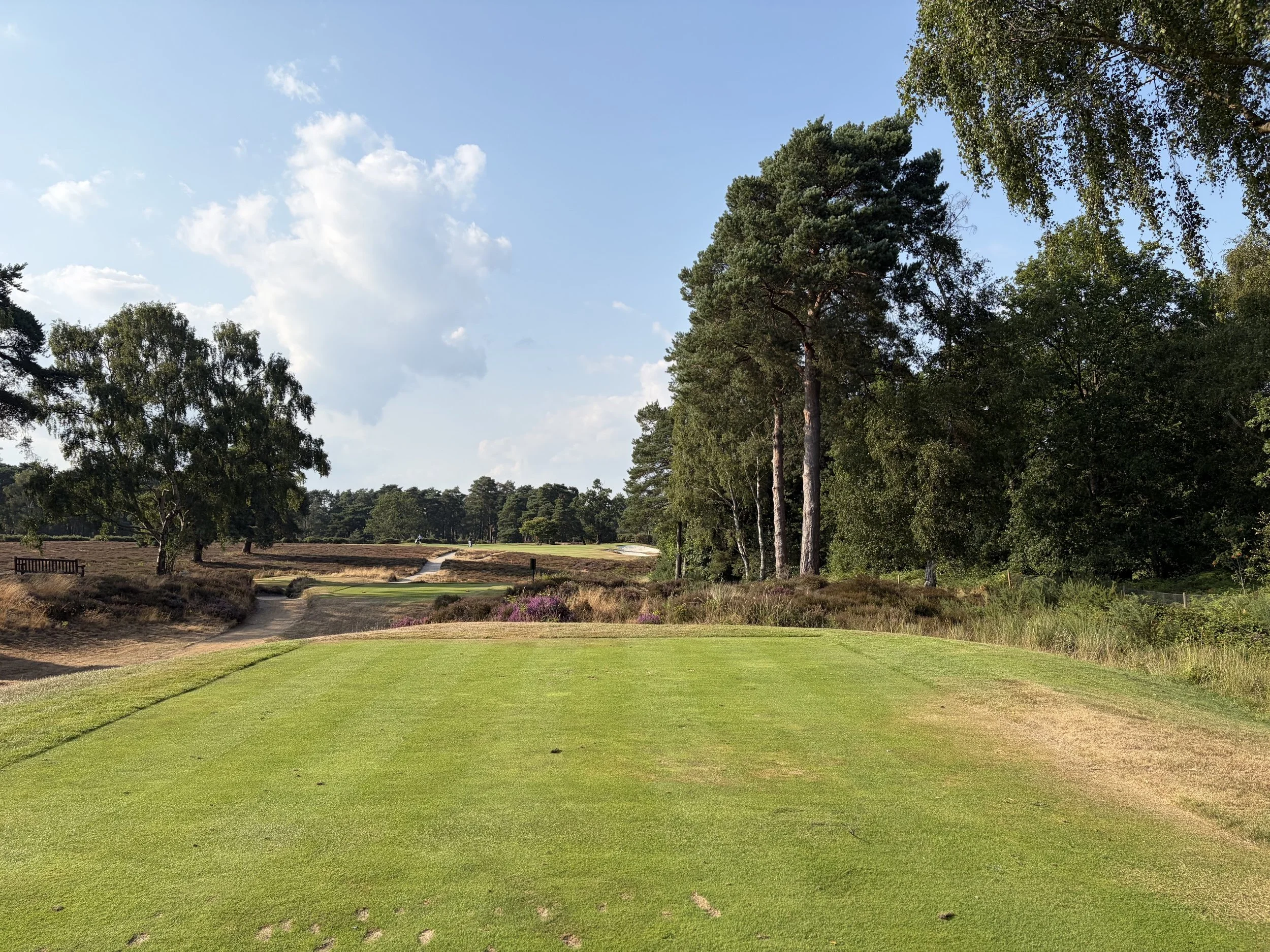 A golf course with green grass, trees, a pathway, and a blue sky with clouds.
