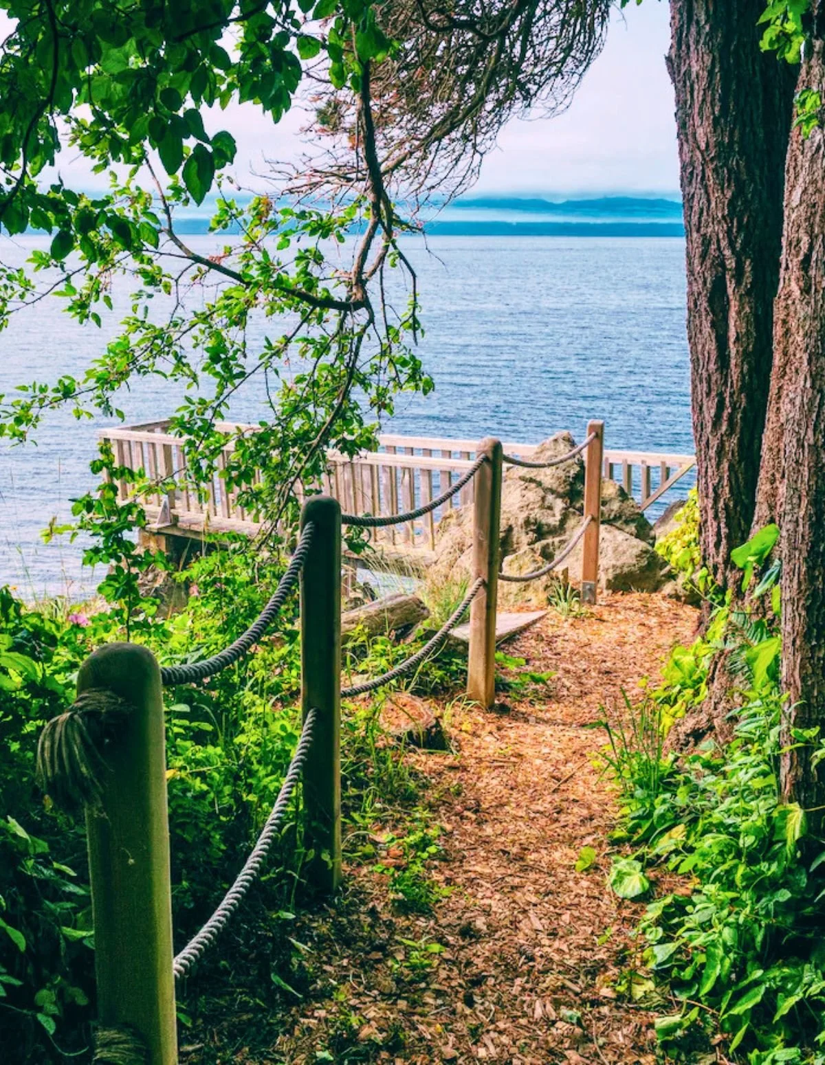 Views from trail to dock, Surfside Cottage, Sooke, BC