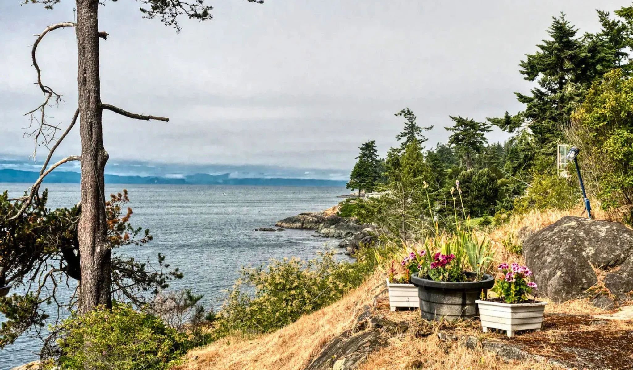 Views of shoreline, Surfside Cottage, Sooke, BC