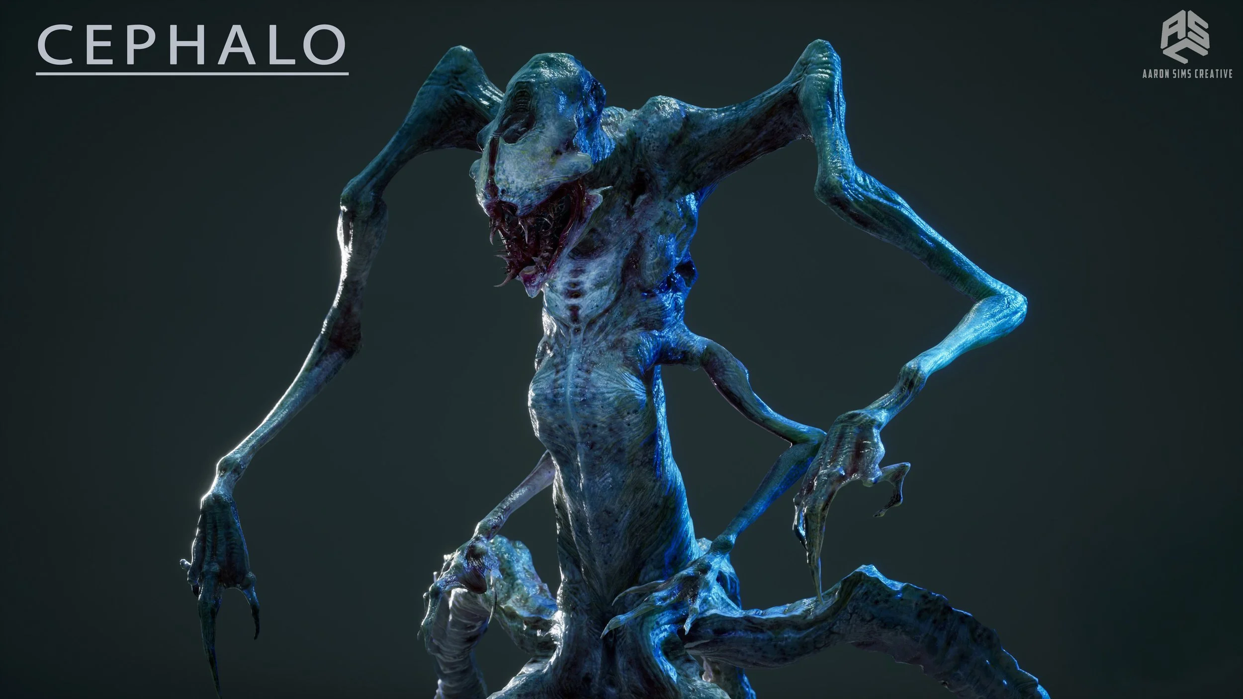 Cephalo.jpeg