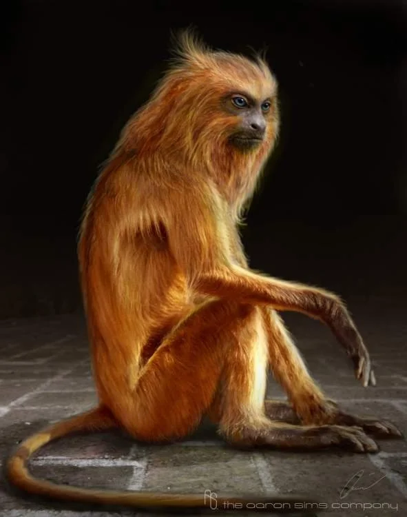 ASC_Portfolio_002.jpg