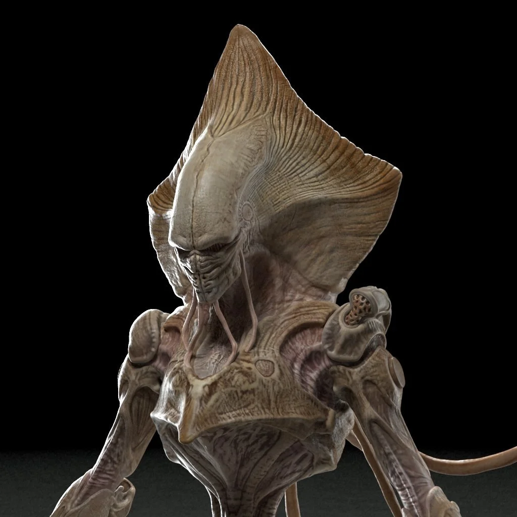 ASC_Portfolio_005.jpg