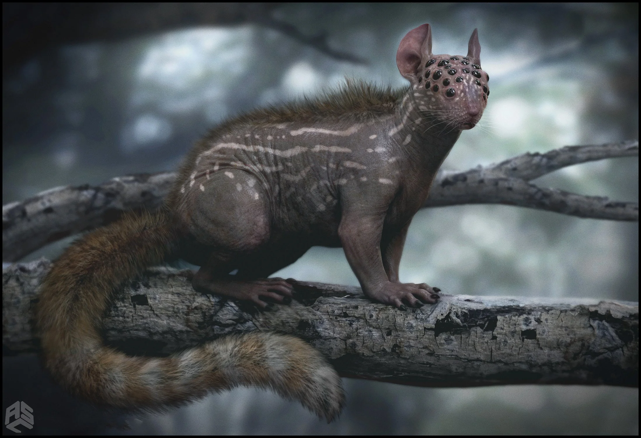 ASC_DBR_Squirrel_dsn_v012_180814.jpg