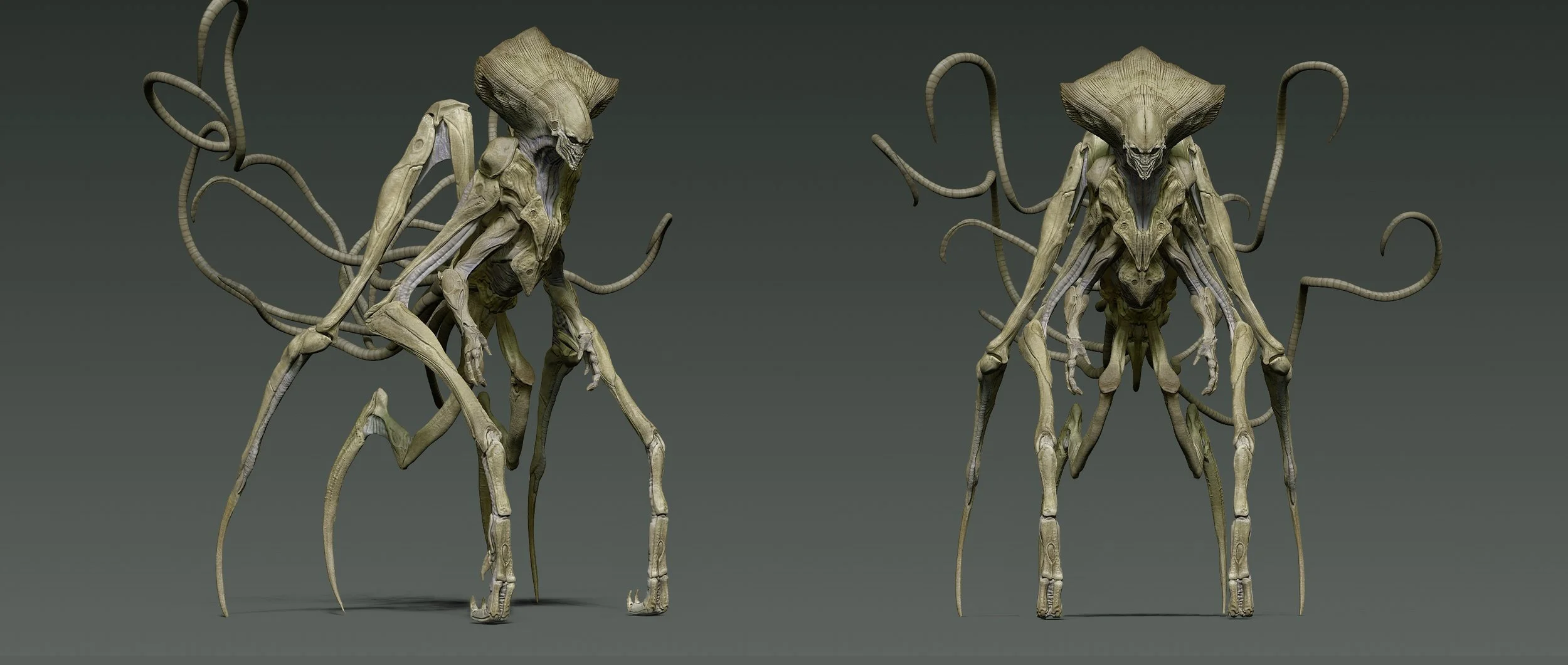 ASC_Portfolio_007.jpg