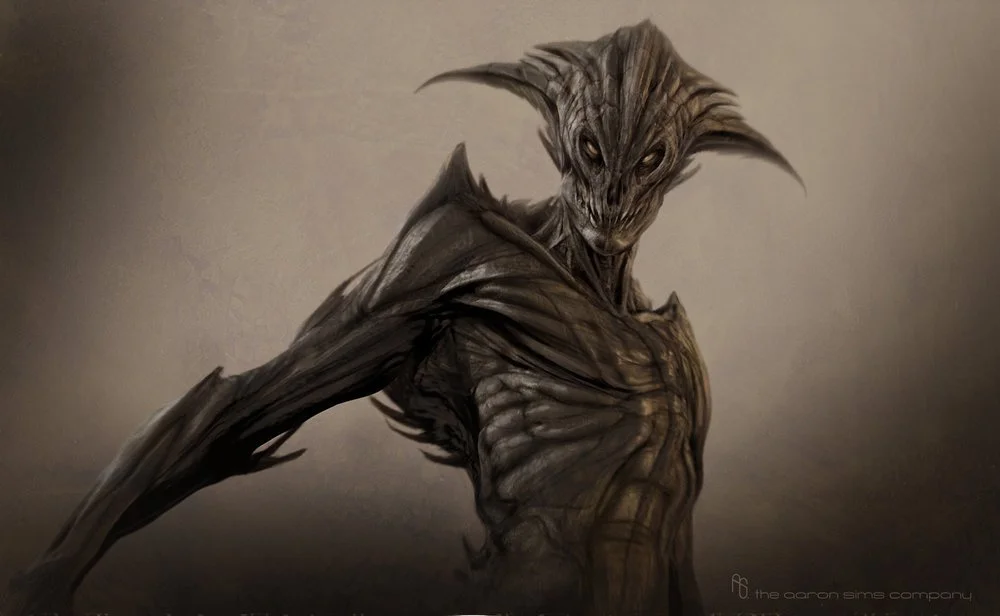 ASC_Portfolio_078.jpg