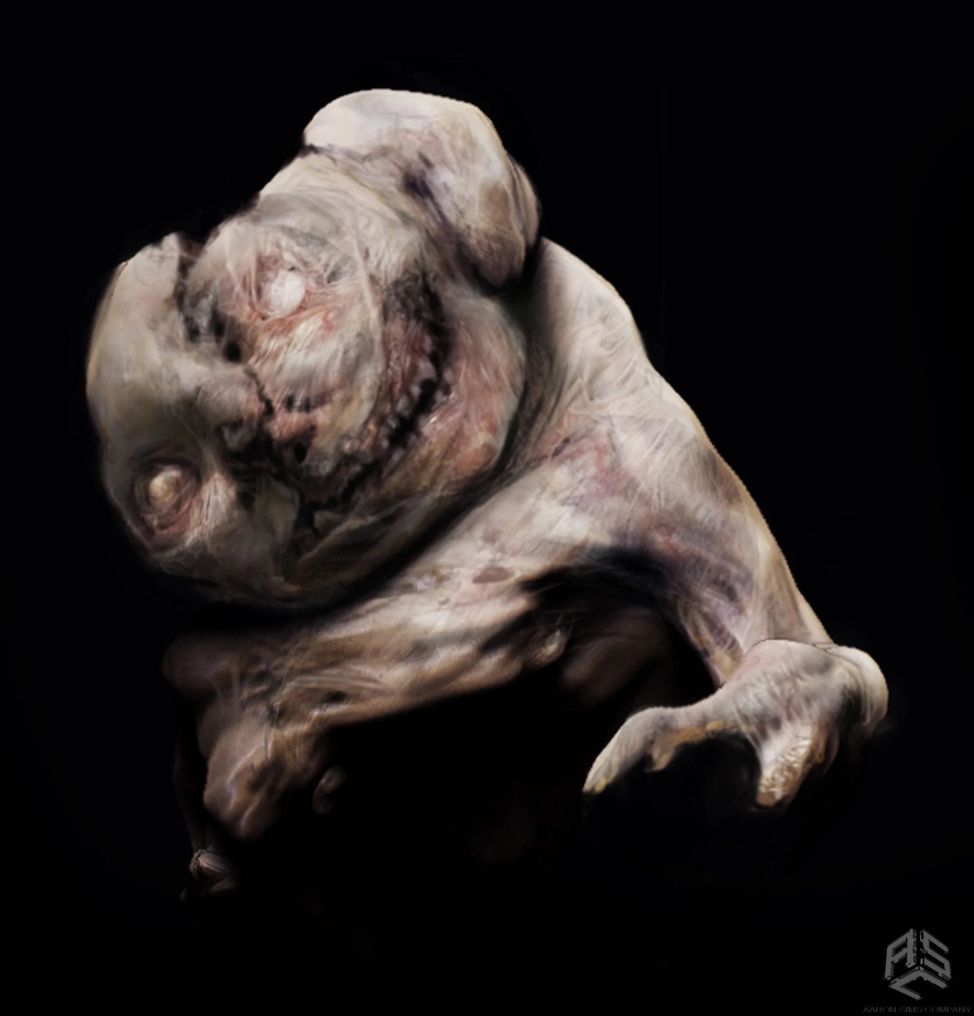 ASC_Portfolio_102.jpg