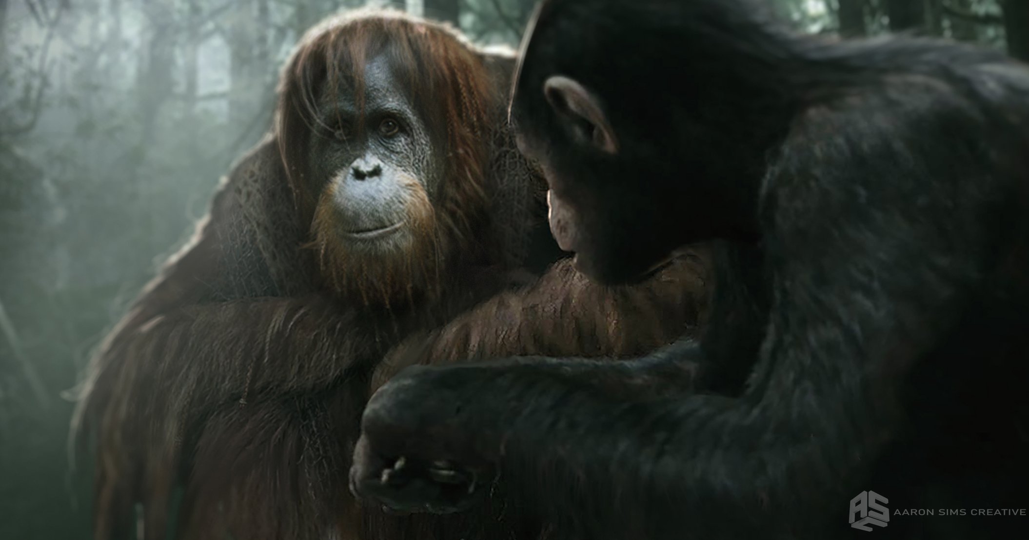 ASC_APES_Raka_v019_220608.jpg