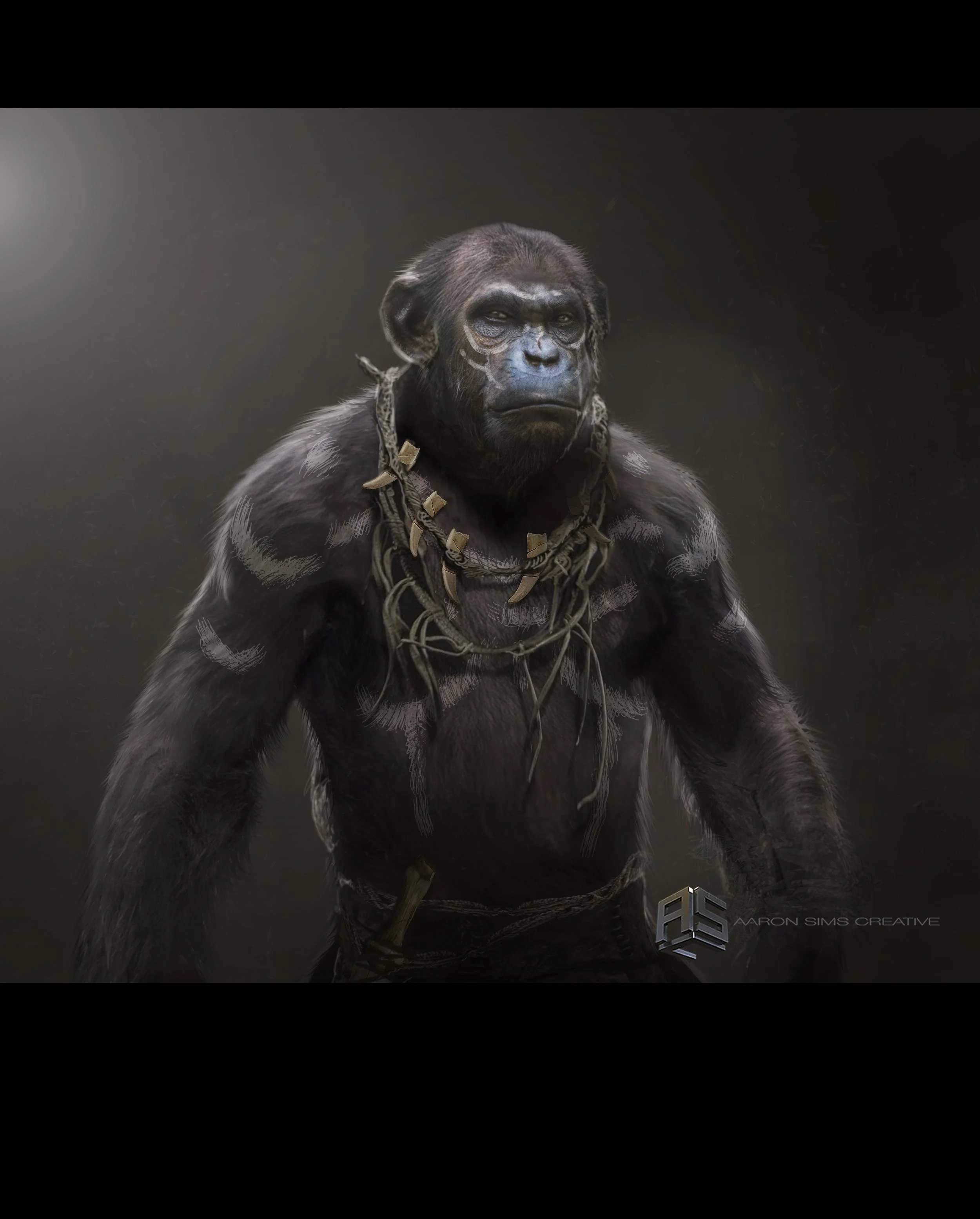 ASC_APES_Generic_v058_220613.jpg