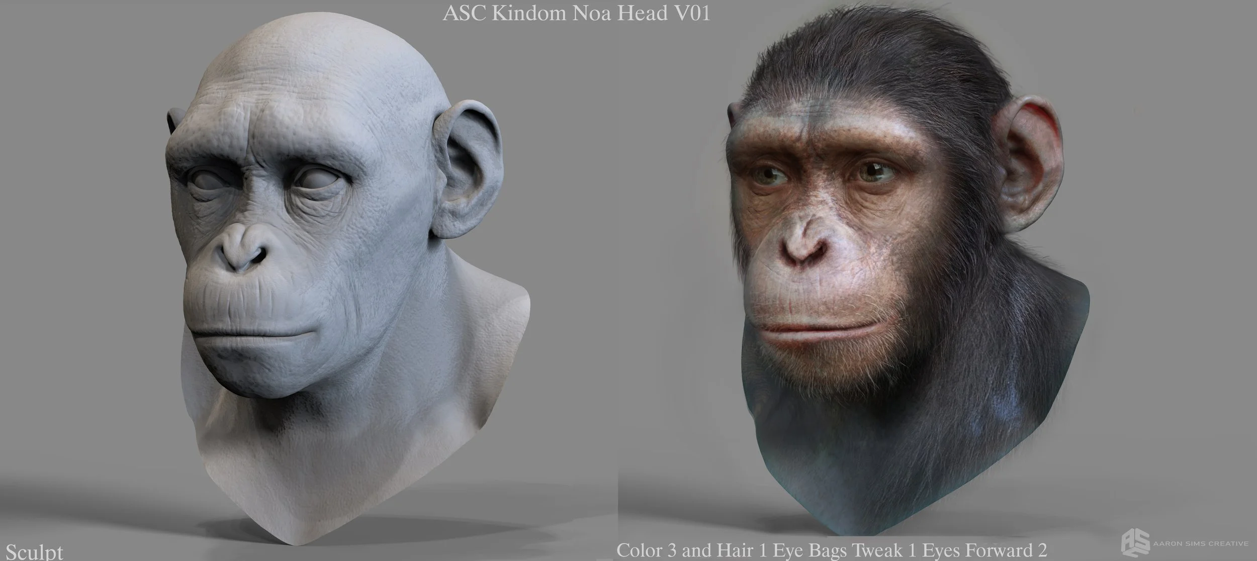 ASC_APES_Noa_v053.jpg
