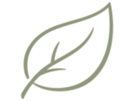 Single leaf icon