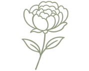 Peony flower icon