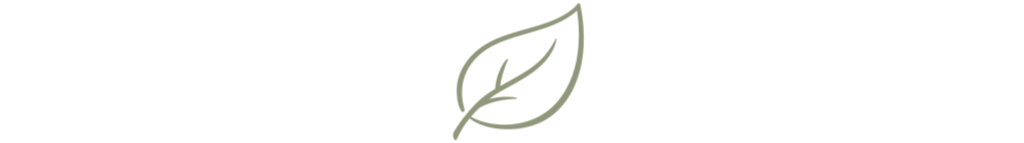 Single leaf icon