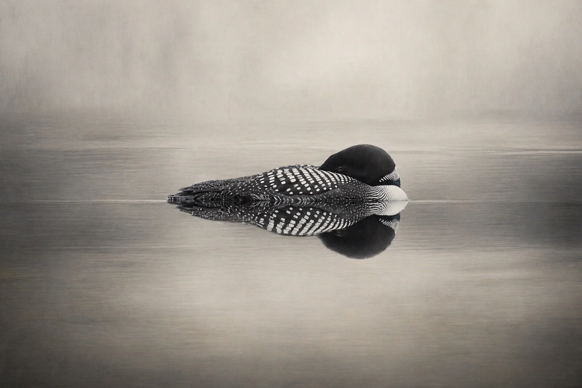 Low_Res copy 7.jpg