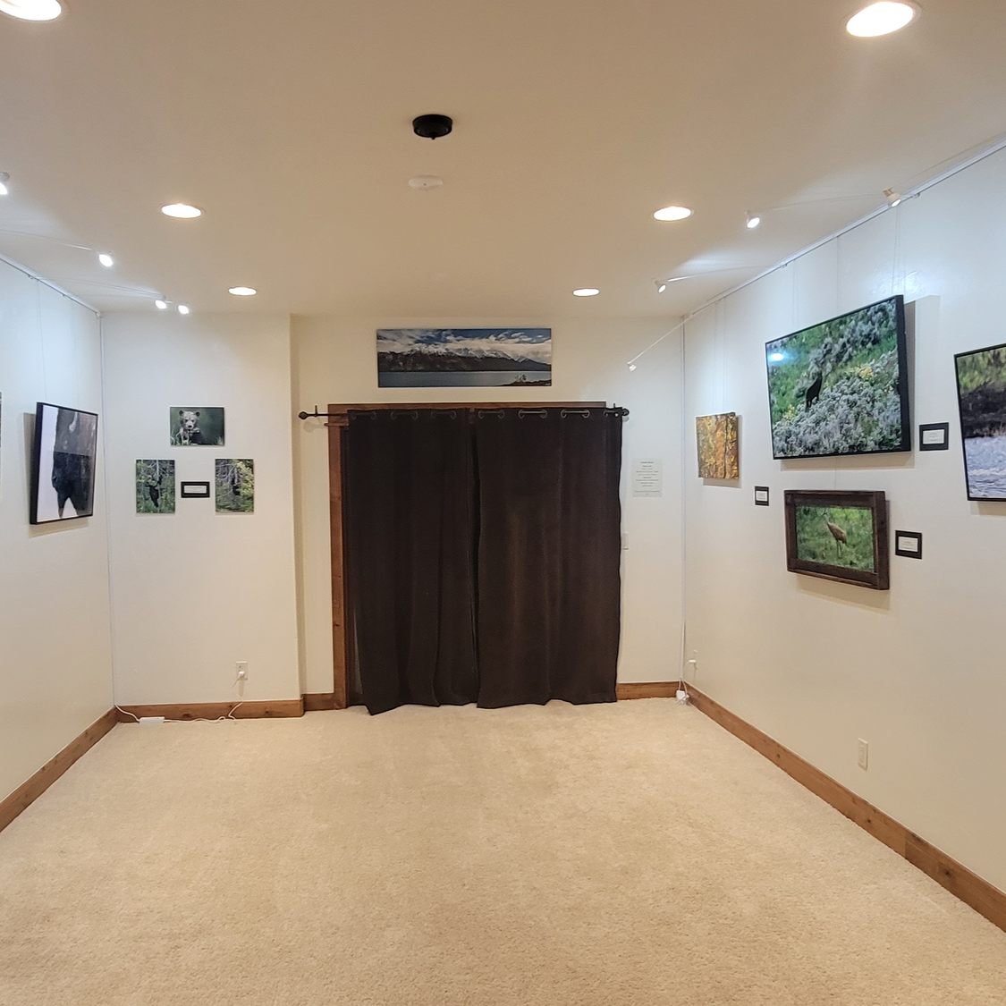 A New Home (Gallery) for Walker and Son Photography