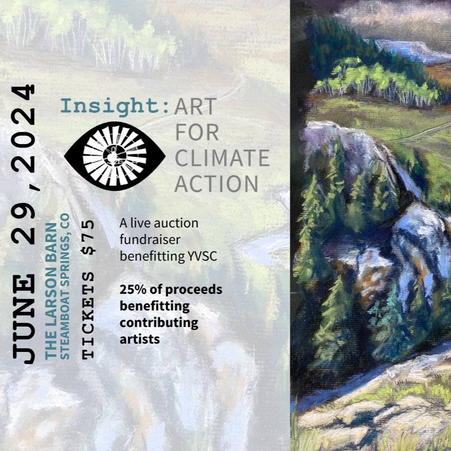 YVSC Insight Art Auction Becomes an Annual Staple Heading Into Second Year