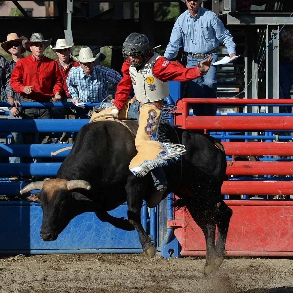 Riding in the Rockies Bull Riding