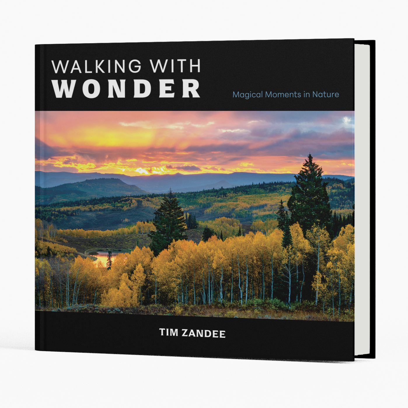 Tim Zandee’s  “Walking with Wonder”