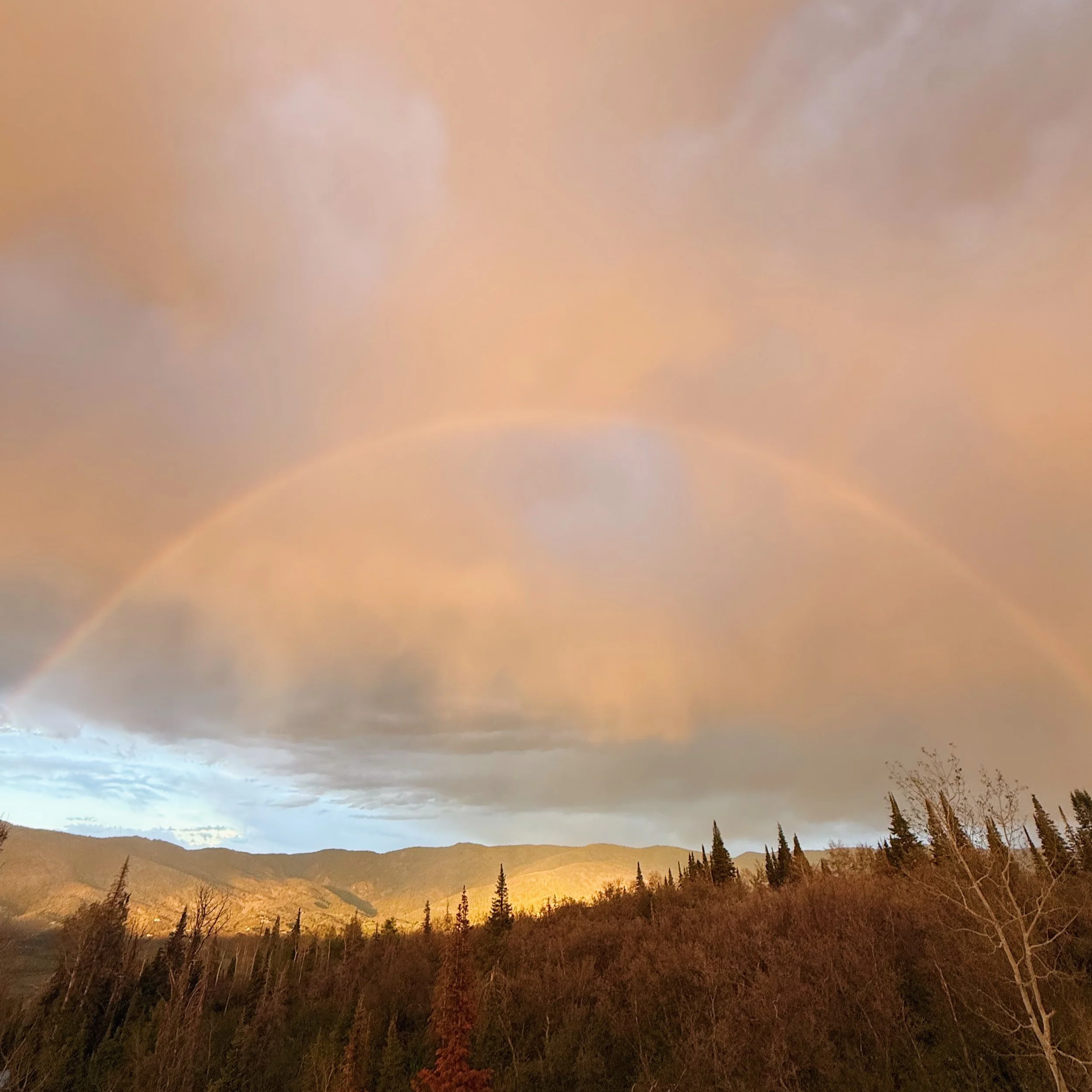 Show Us Your Best Summer Shot of Steamboat!