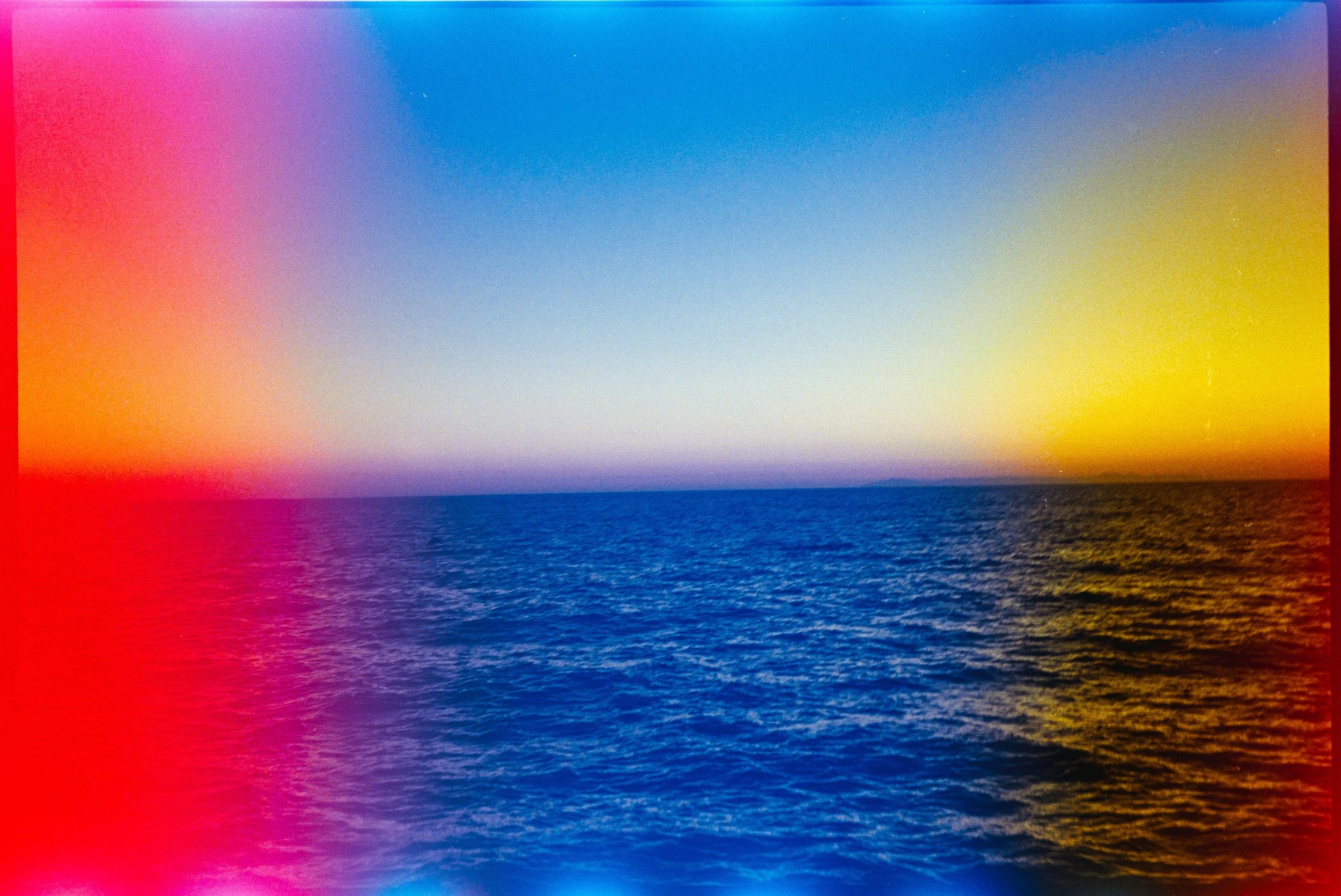 dolphin photography