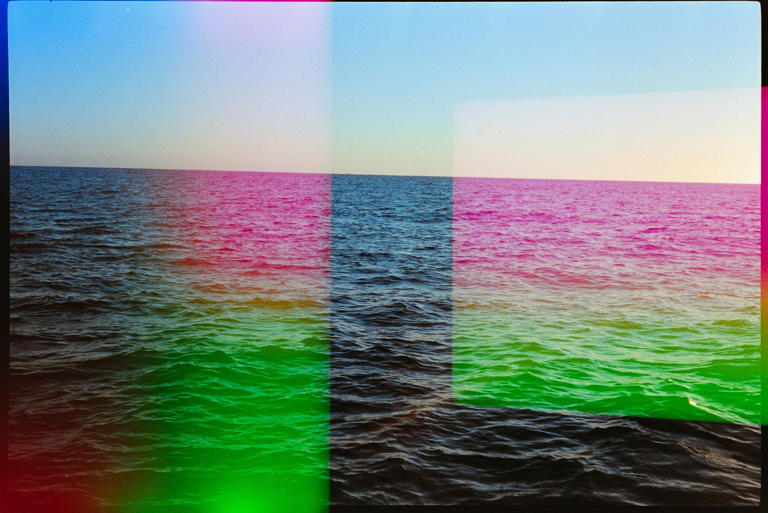 dolphin series