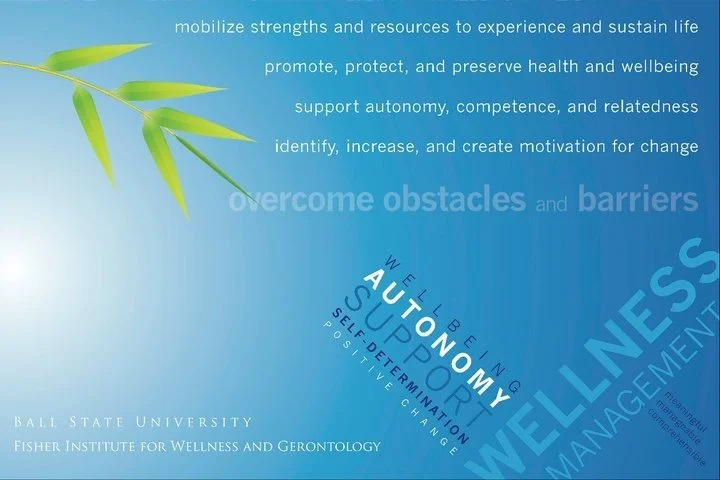 Decorative poster displaying foundational ideas about wellness management.