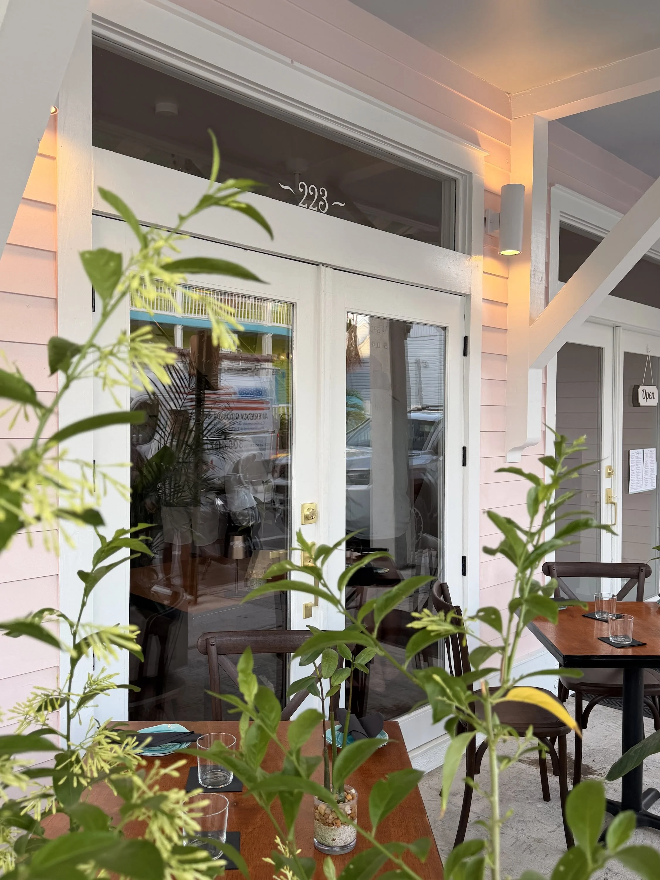 Overlap of potted plants and table with glasses, overlooking a restaurant or cafe entrance with glass doors, the number 293 above the door, and a small sign that says 'Open'.