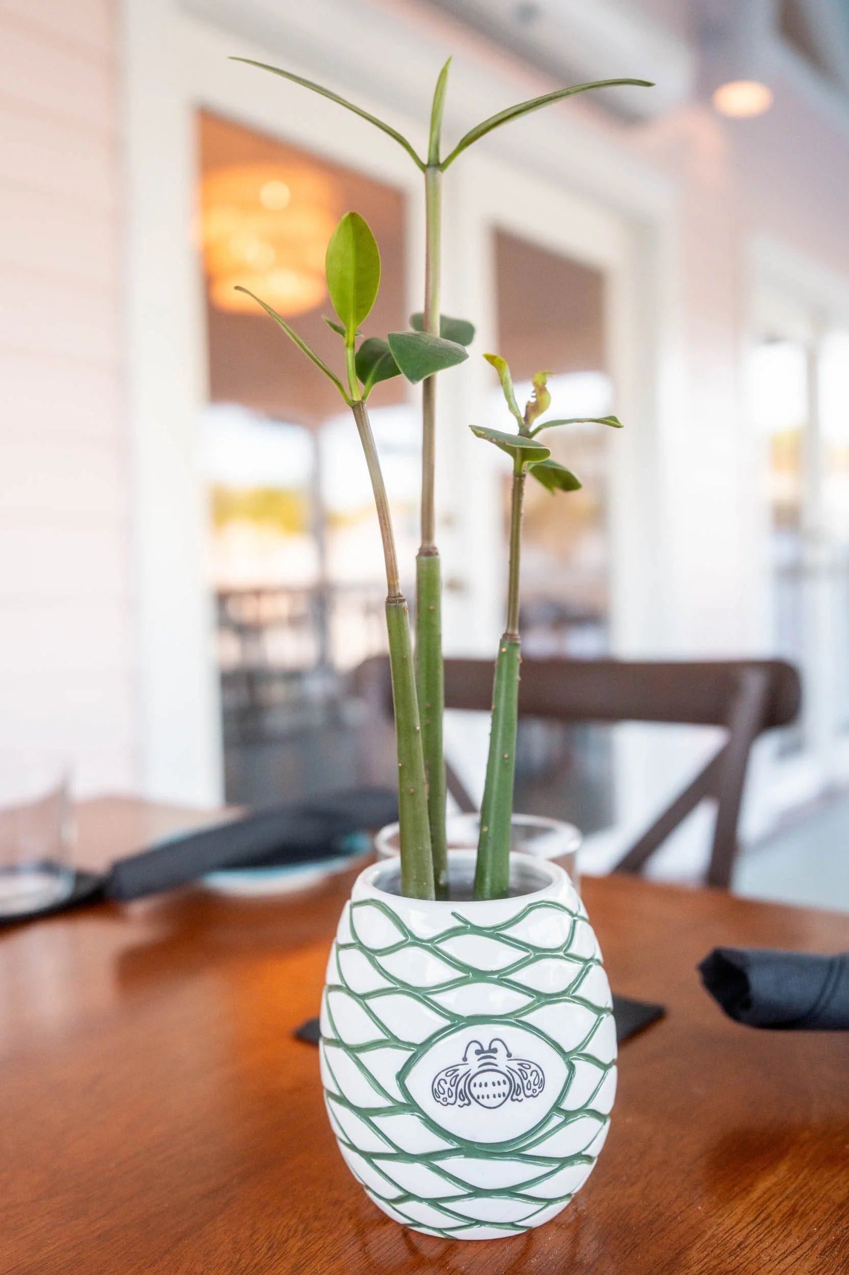 A plant in a decorative white vase with green patterns, placed on a wooden table.