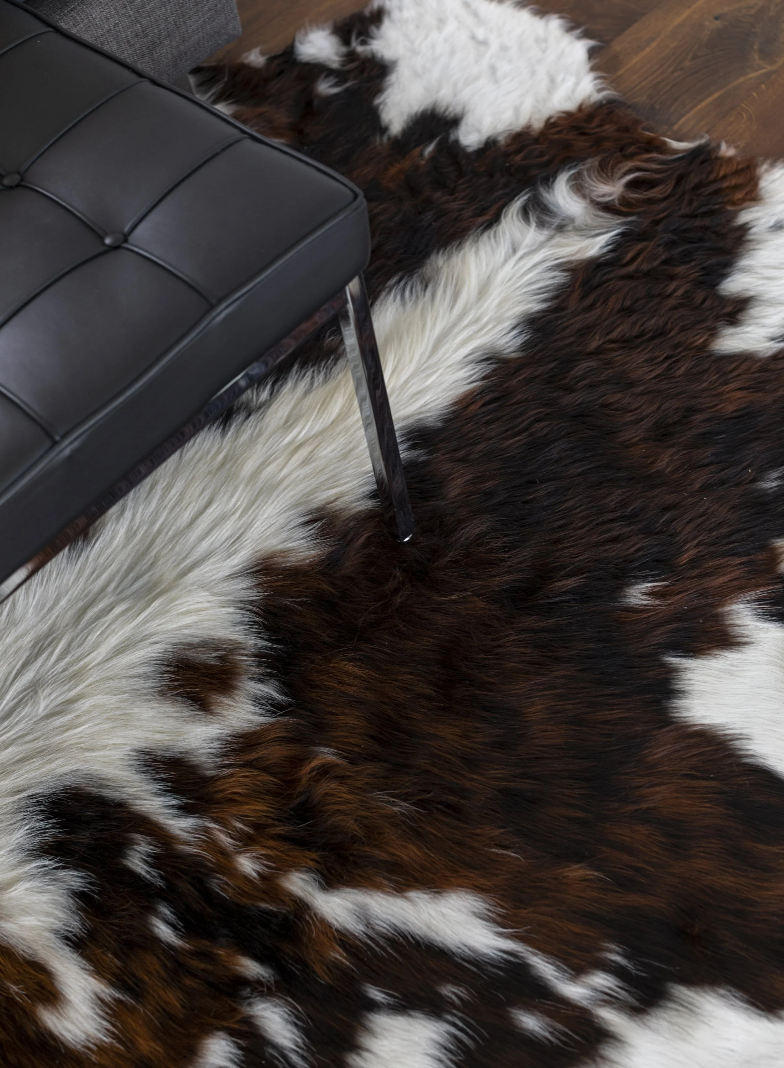 Close-up of a cowhide rug with white, brown, and black fur, partially covered by a black leather bench with metal legs, on a wooden floor.
