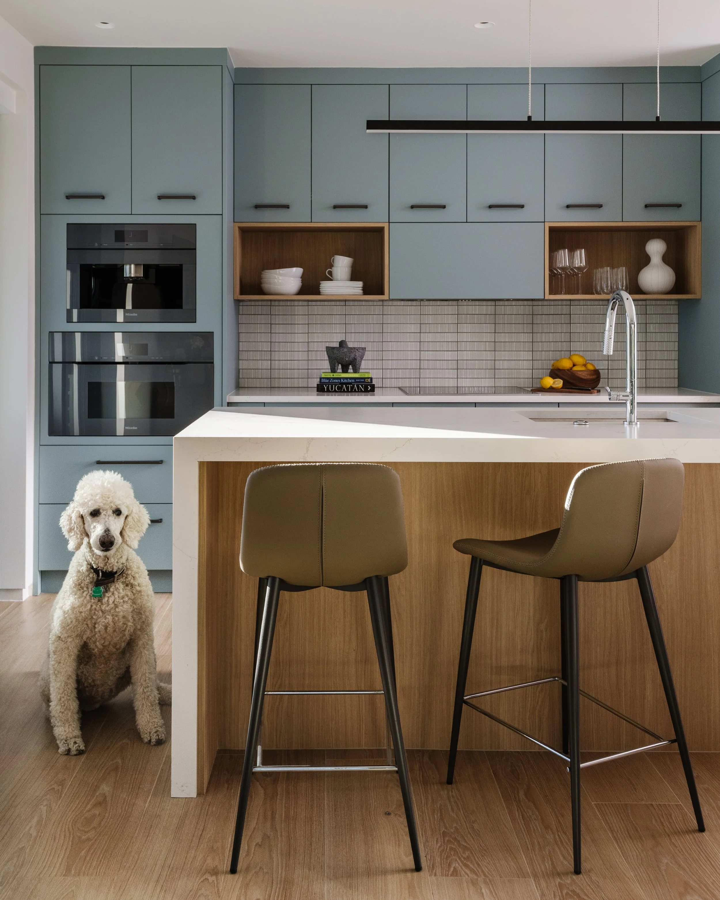 A modern kitchen with light blue cabinets, open wooden shelves with dishes and glasses, a white countertop with a bowl of lemons, and a stainless steel faucet. A white poodle dog is sitting on the wooden floor under the counter near the left side of 