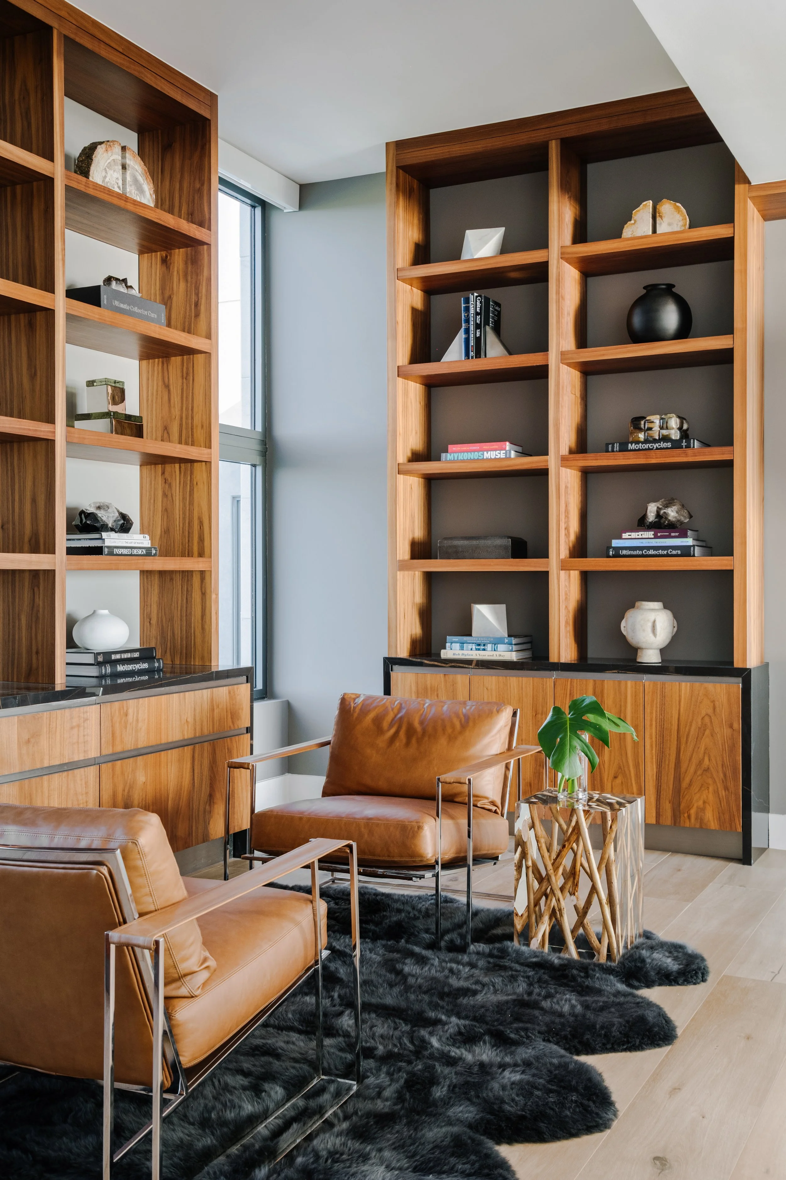 A modern living room with wooden bookshelves, tan leather chairs, a black fluffy rug, and a small side table with a green plant, windows providing natural light.