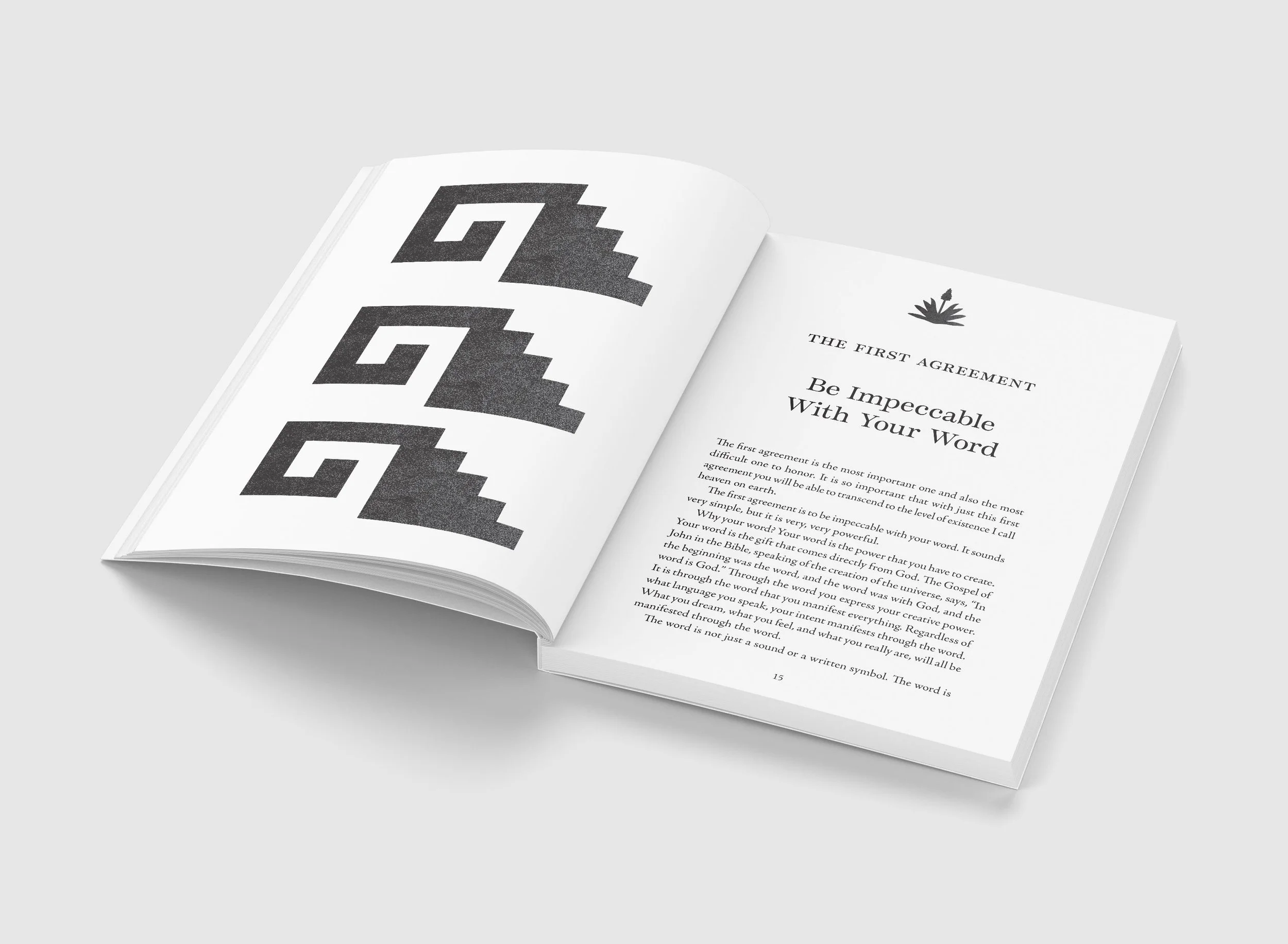book mockup chapter.jpg