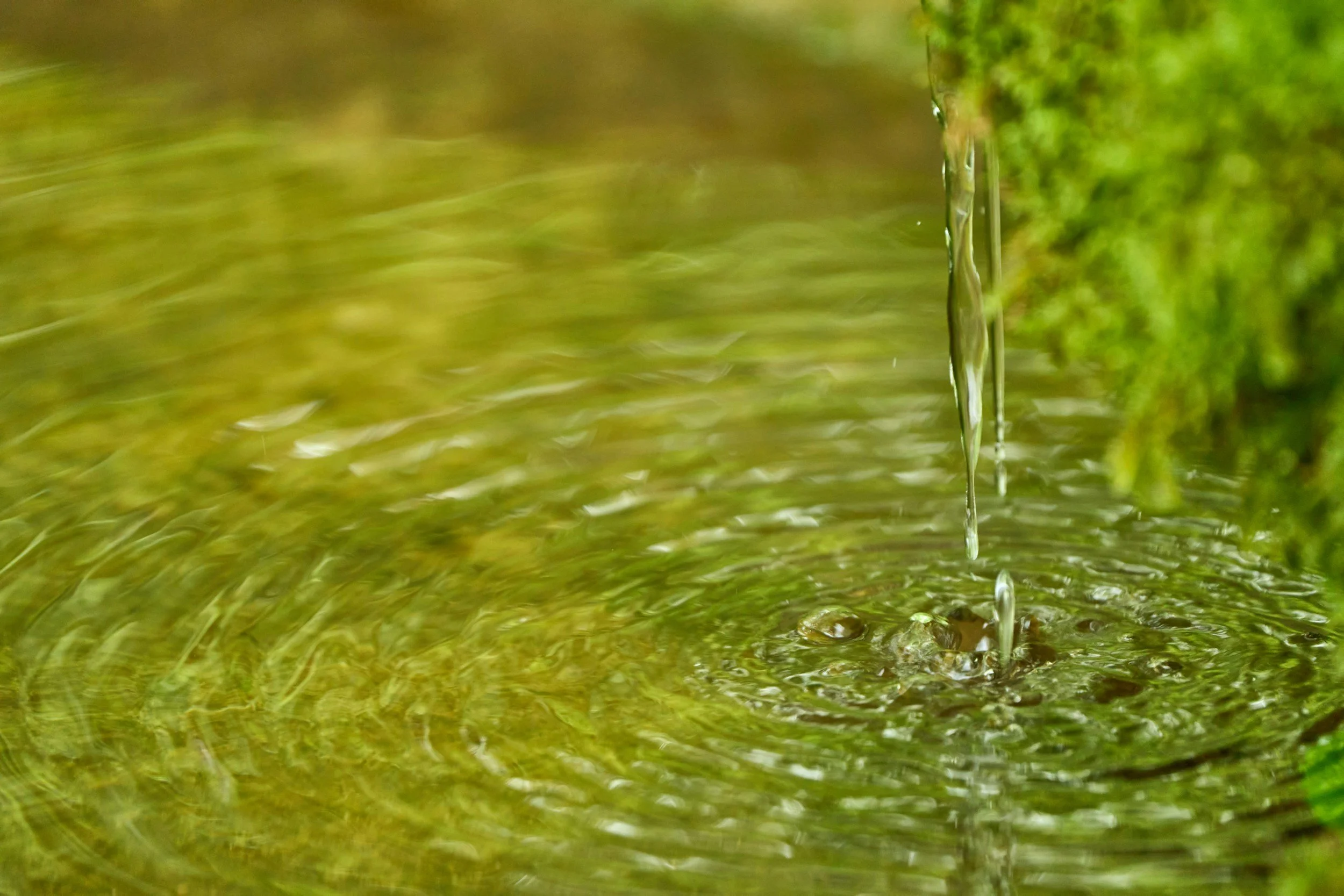 Close-up of a thin stream of water dripping into a body of water with ripples, moss-covered rocks, and greenery in the background.