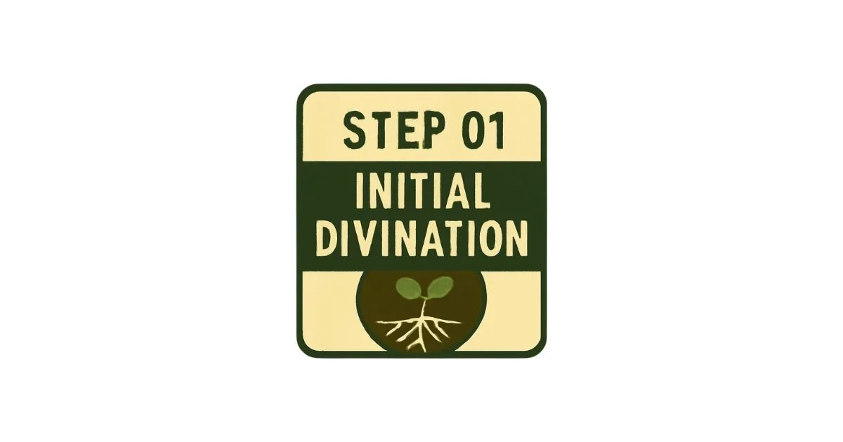 A sign displaying 'Step 01 Initial Divination' with a graphic of a seedling with roots below