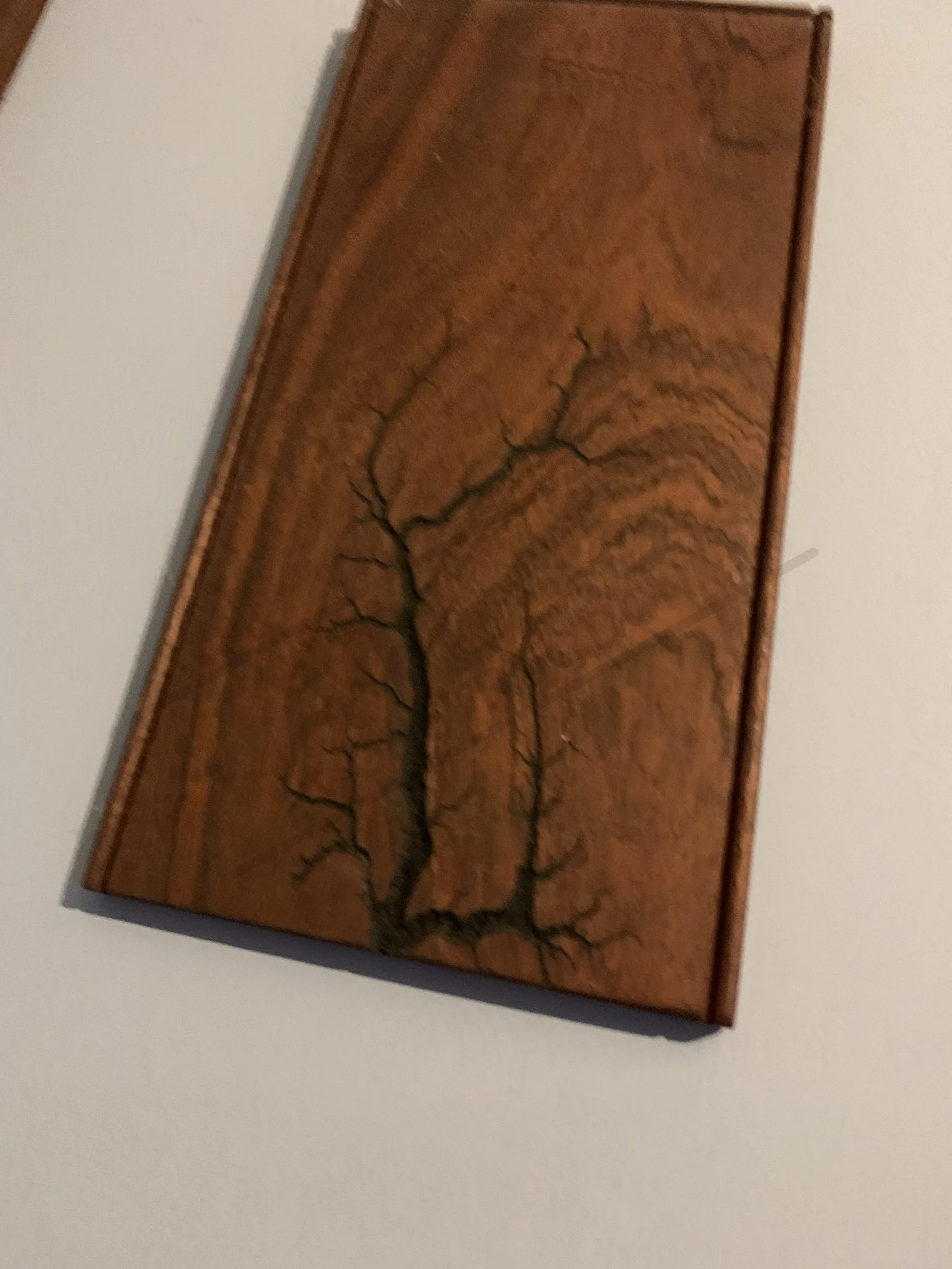Fractal burning wooden wall décor