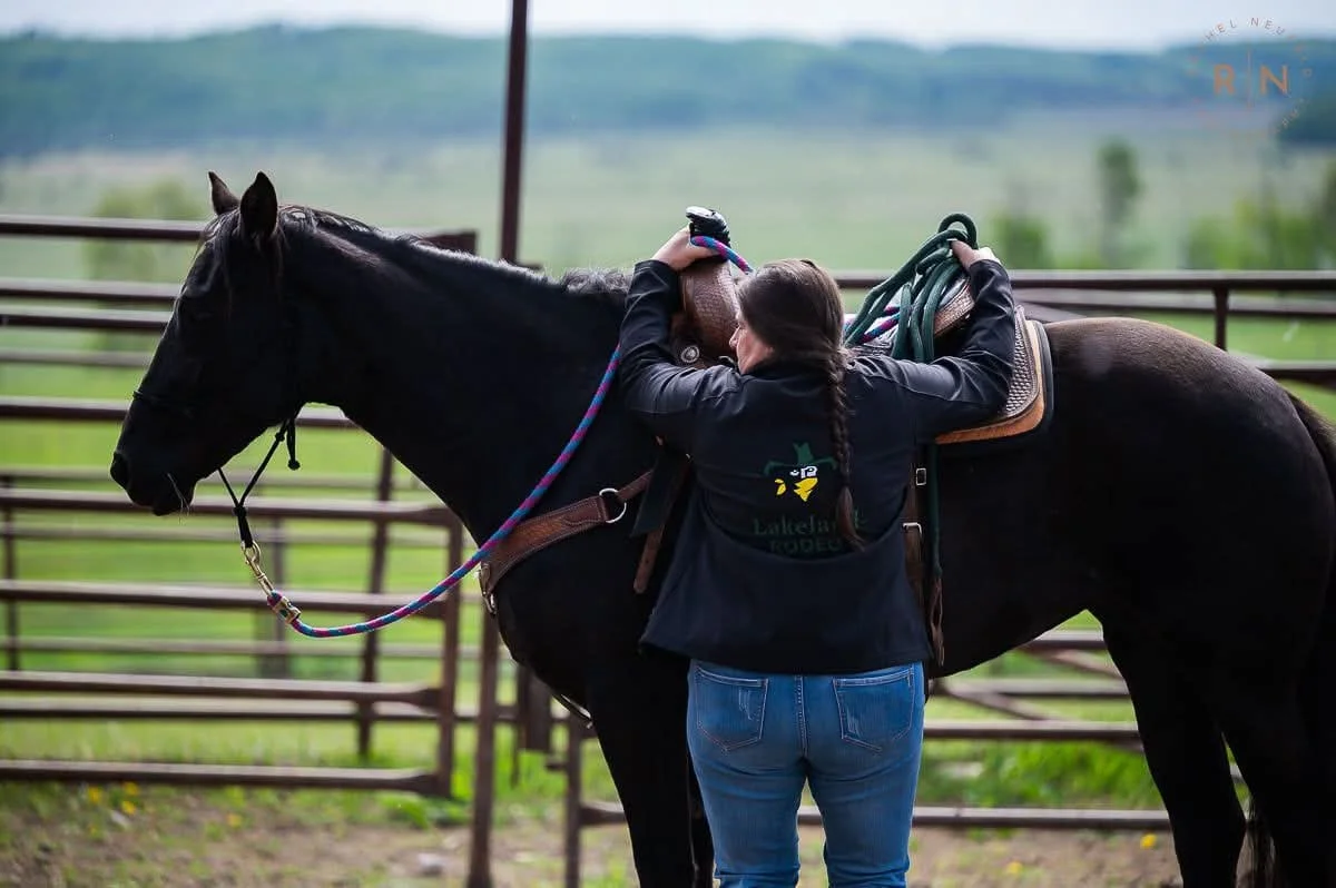 A woman adjusting a saddle on a black horse in an outdoor paddock with green fields and a wooden fence in the background.