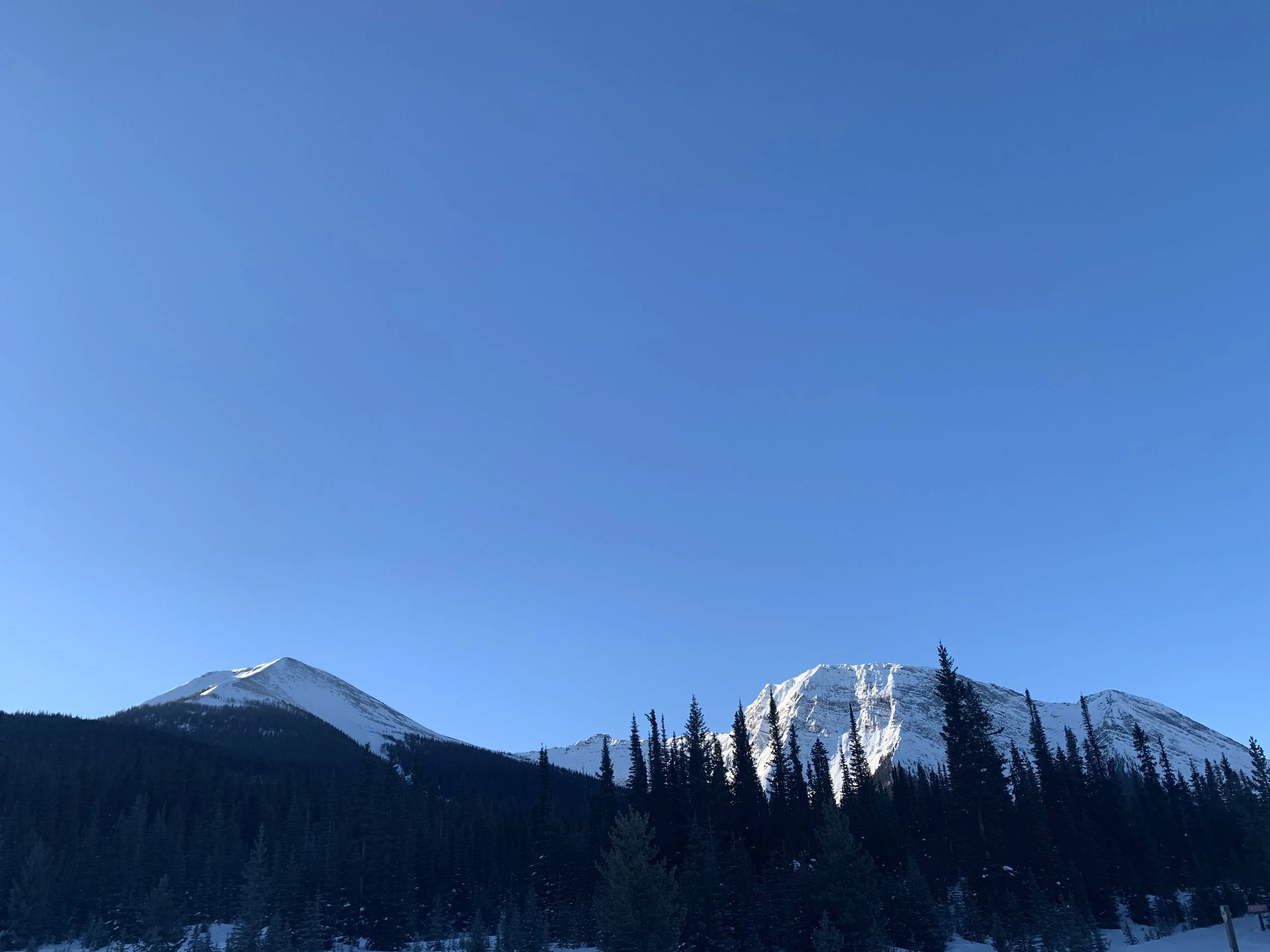 35A1D4D2-F63D-4C0B-BA87-79C4985E3C3D[2472].jpeg