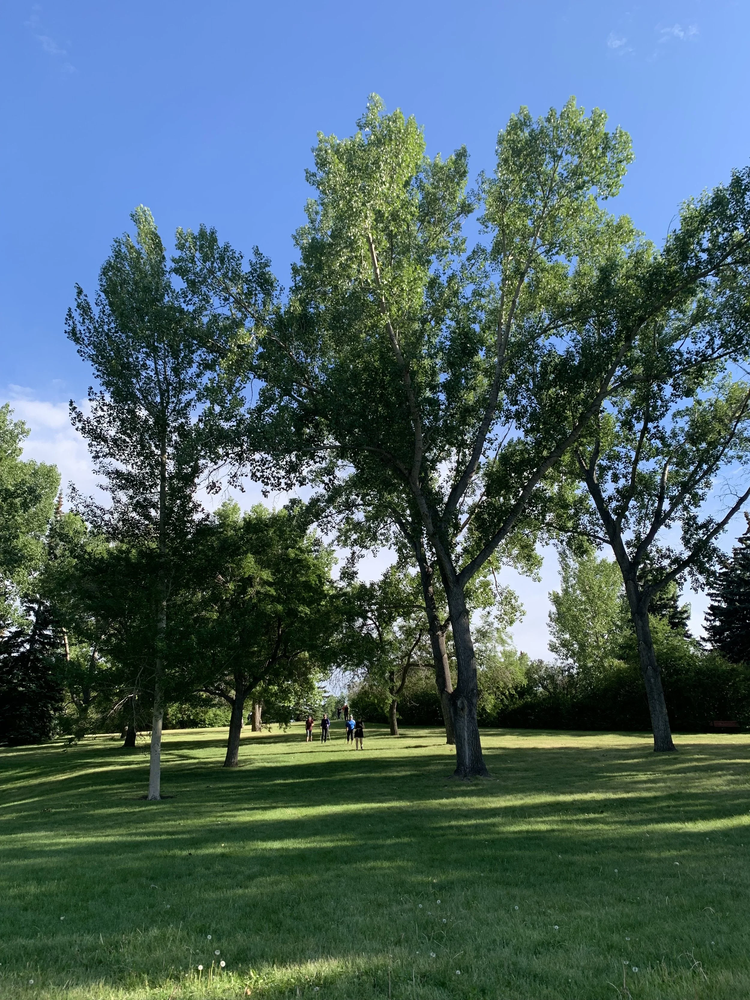 IMG_0514.jpeg