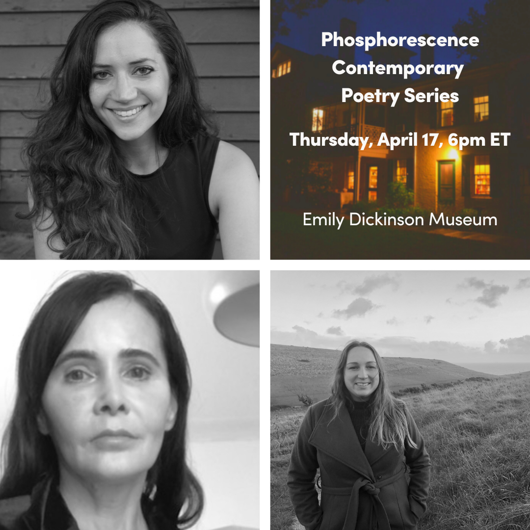 Phosphorescence Poetry Series Spring 2025