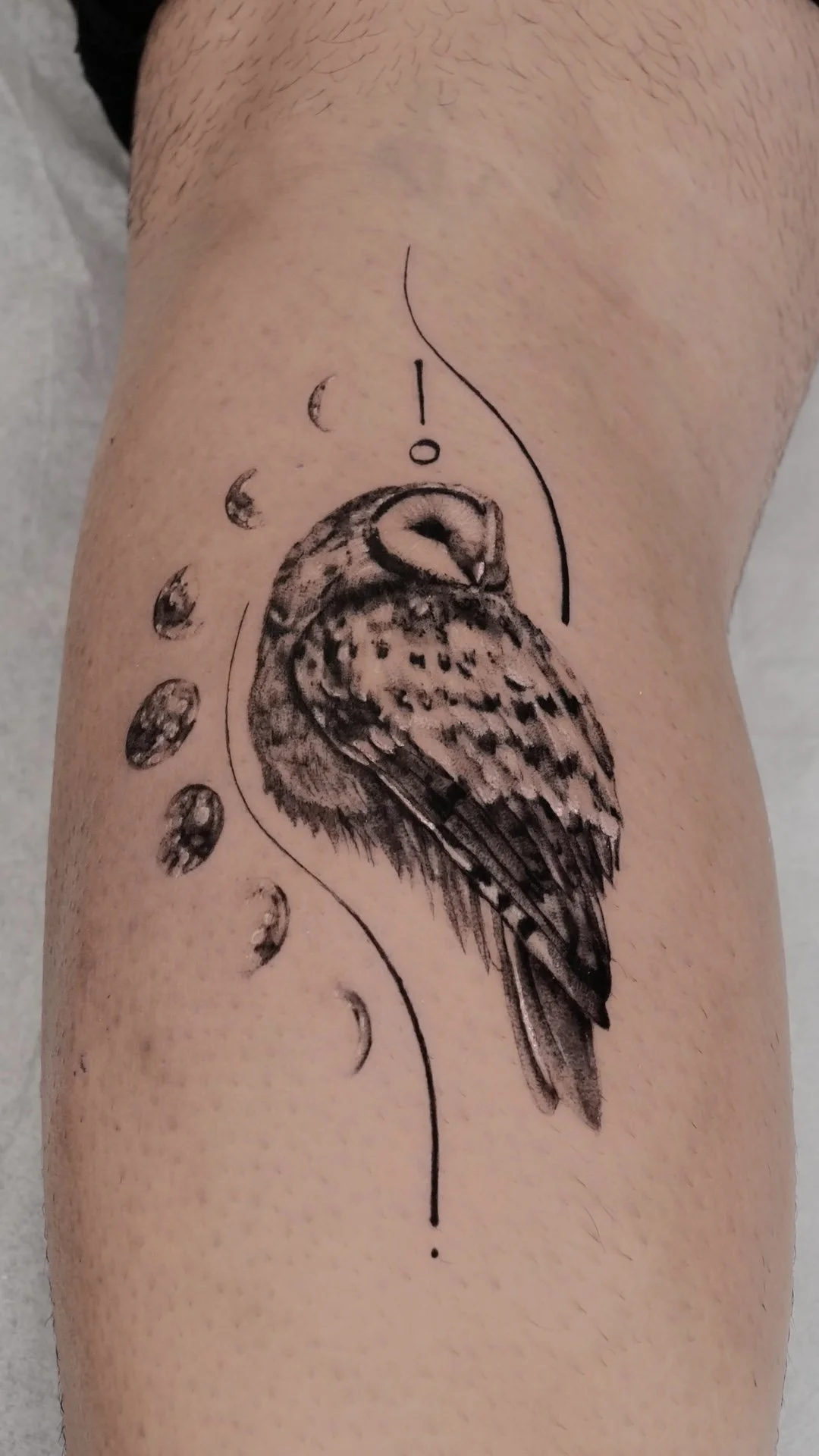 Micro-Realism of an Owl in style of oil painting with moon phases and fine line abstract elements